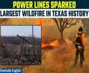 The Texas A&amp;M Forest Service has confirmed that the unprecedented wildfires in Texas, including the destructive Smokehouse Creek fire, were ignited by power lines. State investigators, as cited by spokespeople from the Forest Service, have attributed the blaze&#39;s origin to these power lines. Since its eruption on February 26 of this year, the Smokehouse Creek Fire has wrought havoc across the northeastern Texas panhandle and parts of western Oklahoma. &#60;br/&#62; &#60;br/&#62;#TexasWildfire #RainfallRelief #LargestWildfire #WildfireRespite #TexasWeather #Firefighters #EmergencyResponse #ClimateChange #EnvironmentalImpact #NaturalDisaster #WildfireAwareness #SafetyFirst #DisasterRelief #CommunitySupport #TexasStrong #WeatherConditions #EmergencyManagement #WildfirePrevention #EnvironmentalConservation #Resilience&#60;br/&#62;~PR.152~ED.102~