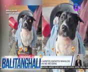 Match made in mud ang bagong boots ng asong si Panda!&#60;br/&#62;&#60;br/&#62;&#60;br/&#62;Balitanghali is the daily noontime newscast of GTV anchored by Raffy Tima and Connie Sison. It airs Mondays to Fridays at 10:30 AM (PHL Time). For more videos from Balitanghali, visit http://www.gmanews.tv/balitanghali.&#60;br/&#62;&#60;br/&#62;#GMAIntegratedNews #KapusoStream&#60;br/&#62;&#60;br/&#62;Breaking news and stories from the Philippines and abroad:&#60;br/&#62;GMA Integrated News Portal: http://www.gmanews.tv&#60;br/&#62;Facebook: http://www.facebook.com/gmanews&#60;br/&#62;TikTok: https://www.tiktok.com/@gmanews&#60;br/&#62;Twitter: http://www.twitter.com/gmanews&#60;br/&#62;Instagram: http://www.instagram.com/gmanews&#60;br/&#62;&#60;br/&#62;GMA Network Kapuso programs on GMA Pinoy TV: https://gmapinoytv.com/subscribe