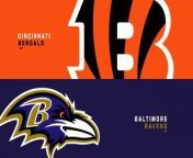 Watch latest nfl football highlights 2023 today match of Cincinnati Bengals vs. Baltimore Ravens. Enjoy best moments of nfl highlights 2023 week 11.