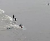 Surfers ride Severn Bore as it sweeps up estuarySource: BBC Breakfast