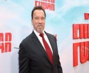 Arnold Schwarzenegger has been cast in the Christmas comedy &#39;The Man With The Bag&#39;, marking his first film role since 2019.