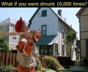 What if you were shrunk 10,000 times