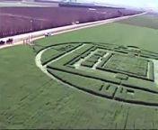 Crop circles appeared on Sunday morning in a field in Salinas Valley, California.