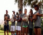 In a heartwarming twist ahead of the Miami Open, some of the biggest names in tennis traded their racquets for puppy cuddles! ATP and WTA stars visited the Humane Society of Greater Miami, as part of the &#39;MIAMI OPEN UNITES&#39; campaign. Buzz60’s Maria Mercedes Galuppo has the story.