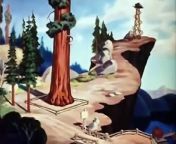Donald Duck - Old Sequoia - 1945 Disney Toon from toon ass