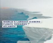 The world&#39;s largest #iceberg , the A23a, has started moving again after 3 stationary decades.&#60;br/&#62;The iceberg is now headed towards the south Atlantic Ocean. &#60;br/&#62;&#60;br/&#62;Migrating since 1986, erosion and movement have carved arch structures into the walls of the A23a. &#60;br/&#62;Currently A23a is four times the size of Berlin.&#60;br/&#62;What will A23a’s final destination be?&#60;br/&#62;&#60;br/&#62;#ice#ocean#A23a#nature