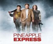 Pineapple Express is a 2008 American buddy stoner action comedy film directed by David Gordon Green, written by Seth Rogen and Evan Goldberg and starring Rogen and James Franco. The plot centers on a process server and his marijuana dealer as they are forced to flee from hitmen and a corrupt police officer after witnessing them commit a murder. Producer Judd Apatow, who previously worked with Rogen and Goldberg on Knocked Up and Superbad, assisted in developing the story.