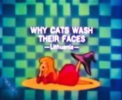 Why Cats Wash Their Faces ⭐ Tales Of Magic REMASTERED ⭐ 2160p Old Cartoon from jeet koel old face