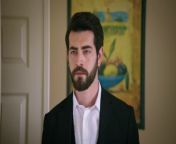 WILL BARAN AND DILAN, WHO SEPARATED WAYS, RECONTINUE?&#60;br/&#62;&#60;br/&#62; Dilan and Baran&#39;s forced marriage due to blood feud turned into a true love over time.&#60;br/&#62;&#60;br/&#62; On that dark day, when they crowned their marriage on paper with a real wedding, the brutal attack on the mansion separates Baran and Dilan from each other again. Dilan has been missing for three months. Going crazy with anger, Baran rouses the entire tribe to find his wife. Baran Agha sends his men everywhere and vows to find whoever took the woman he loves and make them pay the price. But this time, he faces a very powerful and unexpected enemy. A greater test than they have ever experienced awaits Dilan and Baran in this great war they will fight to reunite. What secrets will Sabiha Emiroğlu, who kidnapped Dilan, enter into the lives of the duo and how will these secrets affect Dilan and Baran? Will the bad guys or Dilan and Baran&#39;s love win?&#60;br/&#62;&#60;br/&#62;Production: Unik Film / Rains Pictures&#60;br/&#62;Director: Ömer Baykul, Halil İbrahim Ünal&#60;br/&#62;&#60;br/&#62;Cast:&#60;br/&#62;&#60;br/&#62;Barış Baktaş - Baran Karabey&#60;br/&#62;Yağmur Yüksel - Dilan Karabey&#60;br/&#62;Nalan Örgüt - Azade Karabey&#60;br/&#62;Erol Yavan - Kudret Karabey&#60;br/&#62;Yılmaz Ulutaş - Hasan Karabey&#60;br/&#62;Göksel Kayahan - Cihan Karabey&#60;br/&#62;Gökhan Gürdeyiş - Fırat Karabey&#60;br/&#62;Nazan Bayazıt - Sabiha Emiroğlu&#60;br/&#62;Dilan Düzgüner - Havin Yıldırım&#60;br/&#62;Ekrem Aral Tuna - Cevdet Demir&#60;br/&#62;Dilek Güler - Cevriye Demir&#60;br/&#62;Ekrem Aral Tuna - Cevdet Demir&#60;br/&#62;Buse Bedir - Gül Soysal&#60;br/&#62;Nuray Şerefoğlu - Kader Soysal&#60;br/&#62;Oğuz Okul - Seyis Ahmet&#60;br/&#62;Alp İlkman - Cevahir&#60;br/&#62;Hacı Bayram Dalkılıç - Şair&#60;br/&#62;Mertcan Öztürk - Harun&#60;br/&#62;&#60;br/&#62;#vendetta #kançiçekleri #bloodflowers #baran #dilan #DilanBaran #kanal7 #barışbaktaş #yagmuryuksel #kancicekleri #episode129