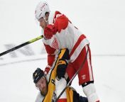NHL Wild Card Race: Can Detroit Steal Final Spot from Pittsburgh? from sex red malayalam