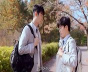 Cherry Blossoms After Winter (2022) ep 5 english sub from cheryl cherry choe