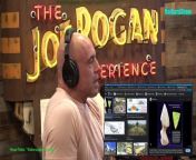 Graham Hancock &amp; Flint Dibble - The Joe Rogan Experience Video - Episode 2136 &#60;br/&#62;Please follow the channel to see more interesting videos!&#60;br/&#62;If you like to Watch Videos like This Follow Me You Can Support Me By Sending cash In Via Paypal&#62;&#62; https://paypal.me/countrylife821 &#60;br/&#62;