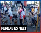 Furparents join celebration of International Pet Month&#60;br/&#62;&#60;br/&#62;Hundreds of furparents walk with their pets to celebrate International Pet Month&#60;br/&#62;at Robinsons Place Antipolo in Rizal on Sunday.&#60;br/&#62;&#60;br/&#62;Video by John Orven Verdote&#60;br/&#62;&#60;br/&#62;Subscribe to The Manila Times Channel - https://tmt.ph/YTSubscribe&#60;br/&#62; &#60;br/&#62;Visit our website at https://www.manilatimes.net&#60;br/&#62; &#60;br/&#62; &#60;br/&#62;Follow us: &#60;br/&#62;Facebook - https://tmt.ph/facebook&#60;br/&#62; &#60;br/&#62;Instagram - https://tmt.ph/instagram&#60;br/&#62; &#60;br/&#62;Twitter - https://tmt.ph/twitter&#60;br/&#62; &#60;br/&#62;DailyMotion - https://tmt.ph/dailymotion&#60;br/&#62; &#60;br/&#62; &#60;br/&#62;Subscribe to our Digital Edition - https://tmt.ph/digital&#60;br/&#62; &#60;br/&#62; &#60;br/&#62;Check out our Podcasts: &#60;br/&#62;Spotify - https://tmt.ph/spotify&#60;br/&#62; &#60;br/&#62;Apple Podcasts - https://tmt.ph/applepodcasts&#60;br/&#62; &#60;br/&#62;Amazon Music - https://tmt.ph/amazonmusic&#60;br/&#62; &#60;br/&#62;Deezer: https://tmt.ph/deezer&#60;br/&#62;&#60;br/&#62;Tune In: https://tmt.ph/tunein&#60;br/&#62;&#60;br/&#62;#themanilatimes &#60;br/&#62;#philippines&#60;br/&#62;#pets &#60;br/&#62;#furbabies &#60;br/&#62;