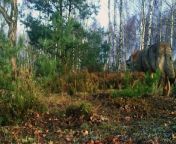 Red Deer_ Hidden Cameras Capture Rare Moments _ Full Wildlife Documentary