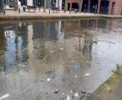 Birmingham&#39;s canals, often compared to Venice, face an uncertain future due to weeds and litter.