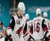 Arizona Coyotes Relocate to Salt Lake City: Impact and Analysis from rick angel beurette
