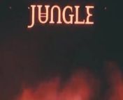 Coachella: Jungle Full Interview from tru kait jungle