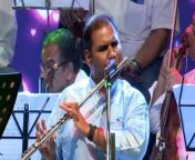 Mastek foundation presents Madanmohan hits by Sanjeevani at a fundraiser for Snehalay, VICHARTA SAMUDAY (VSSM) and Vidyadaan sanstha,Thane.&#60;br/&#62;&#60;br/&#62;Music conducted by Chirag K Panchal&#60;br/&#62;Sitar: Zuber Sheikh&#60;br/&#62;Solo violin : Raju Padhiyar&#60;br/&#62;Group violins Prakash Verma&#60;br/&#62;Tabla: Prasad Padhye&#60;br/&#62;Tabla and percussions: Sandeep Mayekar&#60;br/&#62;Congo Dholak: Shashi Bawlekar&#60;br/&#62;Octopad Rupesh Rane&#60;br/&#62;Flute Kiran Vinkar&#60;br/&#62;Guitar: Brijesh Shah&#60;br/&#62;Bass Guitar: Gautum Shinde&#60;br/&#62;Keyboard 2: Kiran Gaikwad&#60;br/&#62;Mandolin : Dinesh Bhosle&#60;br/&#62;Sound : Nitish&#60;br/&#62;&#60;br/&#62;Original credits:&#60;br/&#62;Title : Dil Dhoondta Hai&#60;br/&#62;Song : Bhupinder Singh &amp; Lata Mangeshkar &#60;br/&#62;Music : Madan Mohan&#60;br/&#62;&#60;br/&#62;SUBSCRIBE&#60;br/&#62;https://www.youtube.com/SanjeevaniBhelande?sub_confirmation=1