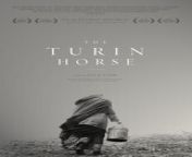 The Turin Horse (Hungarian: A torinói ló) is a 2011 Hungarian drama film directed by Béla Tarr and Ágnes Hranitzky, starring János Derzsi, Erika Bók and Mihály Kormos.[2] It was co-written by Tarr and his frequent collaborator László Krasznahorkai. It recalls the whipping of a horse in the Italian city of Turin that is rumoured to have caused the mental breakdown of philosopher Friedrich Nietzsche. The film is in black-and-white, shot in only 30 long takes by Tarr&#39;s regular cameraman Fred Kelemen,[3] and depicts the repetitive daily lives of the horse-owner and his daughter.