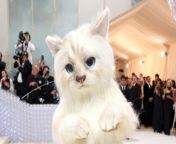 Jared Leto will not be attending the 2024 Met Gala following his viral appearance as Karl Lagerfeld&#39;s cat last year.