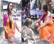 Rupali Gnguly Aka Anupama Celebrates her Pre Birthday With Dogs On Set. As the star of the hit show Anupamaa, Rupali Ganguly celebrates her 47th birthday on 5th April, Watch video to know more... &#60;br/&#62;&#60;br/&#62;#RupaliGanguly #birthday #Rupali #Anupama&#60;br/&#62;~PR.133~