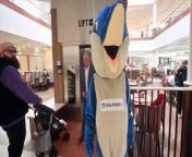 Black Country firm : Dolphin Lifts, have a new mascot: Danni the Dolphin.Danni will be helping them with there community fundraising and you can catch him at the Merry Hill Centre this weekend.